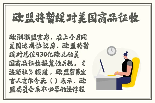 黑网黑料2024